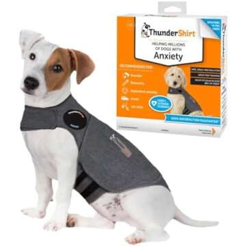 Dog apparel, training gear, beds & grooming supplies