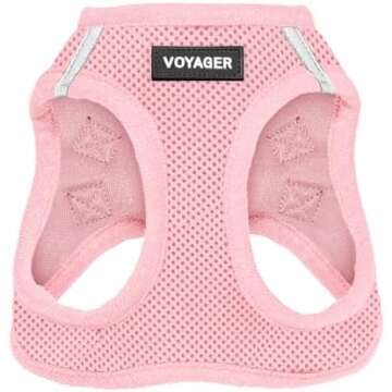 PUPPY STUFF 🐶 🐾