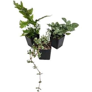 Safe Plants for Reptiles