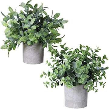 Work From Home Desk Setup