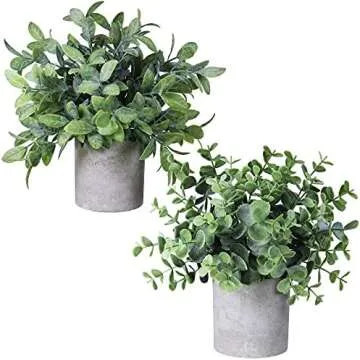 Work From Home Desk Setup