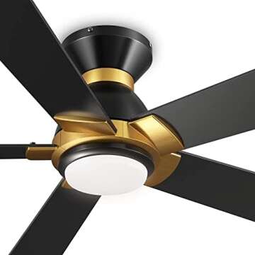 Ceiling Fans