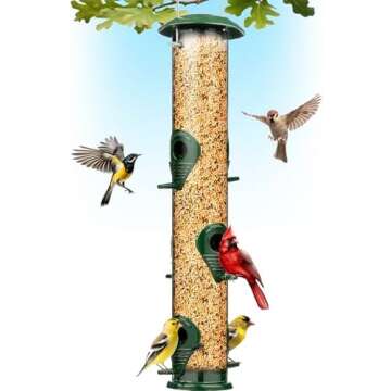Bird Feeders & Feed