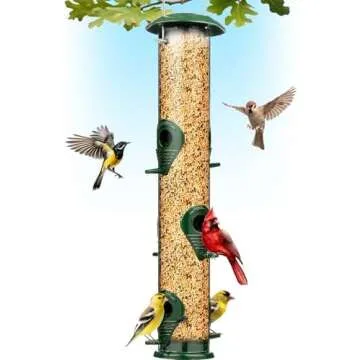Bird Feeders & Feed