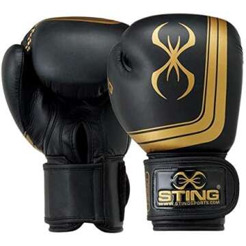 Boxer's Training Equipment