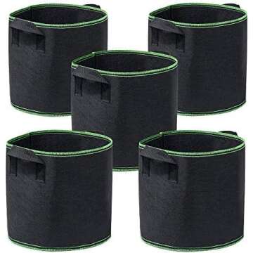 Containers and Trays