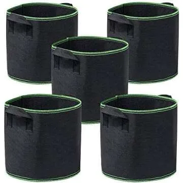 Containers and Trays