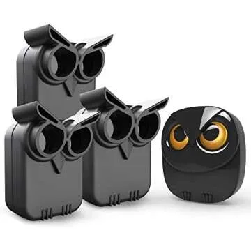 Budget Friendly 2A and Survival Gear