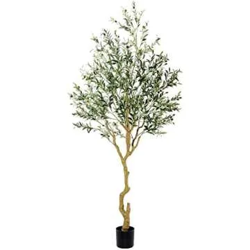 Olive tree, floral stem and Greenery