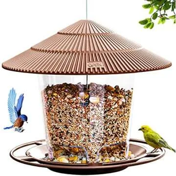 Backyard and Plants!