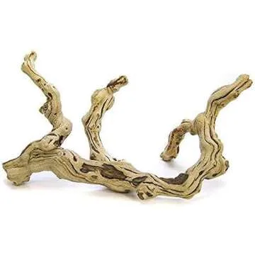 Syrian Hamster Essentials