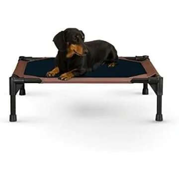 Bed, Blanket and Toys