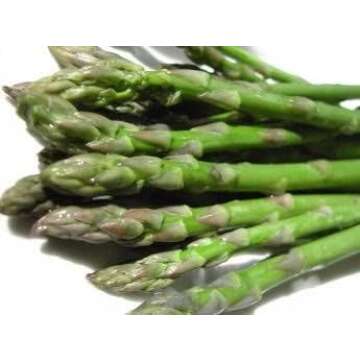 Hạt & Rể Giống Măng Tây | Asparagus Seeds & Crowns
