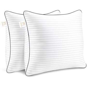 Pillows and Pillow covers