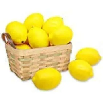 Seasonal Craft Supplies