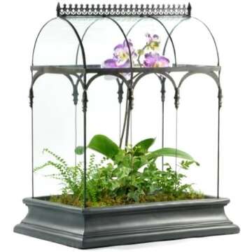 Terrariums & Cloches