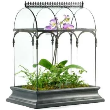 Terrariums & Cloches