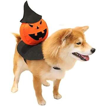 Under $15 Halloween Dog Costumes
