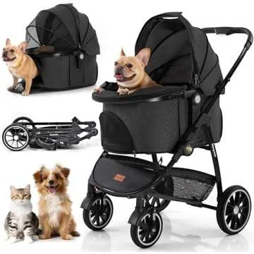 Bella's Favorites! (Woof)