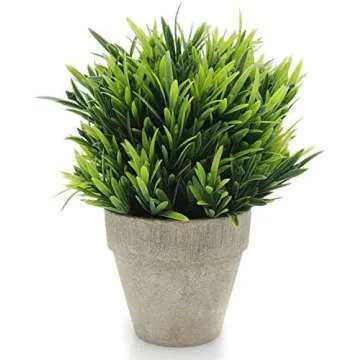 Faux plants & Flower Pots