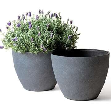 Outdoor Home Essentials