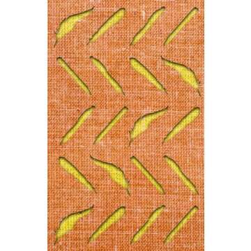 Book Covers Designed by Painted Wings Publishing