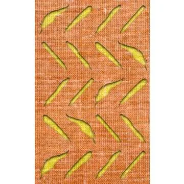 Book Covers Designed by Painted Wings Publishing