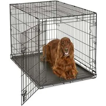 Dog Cages and Home