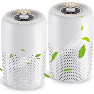 college apartment 2024