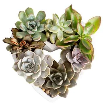 Mother's Day Gift Guide