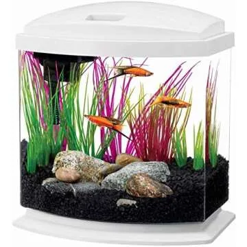 Betta Fish Tank