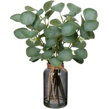 Home Goods & Furniture