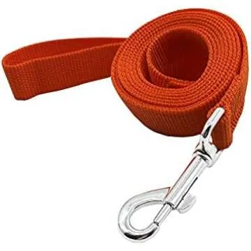Leashes & Slip Leads