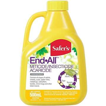 Amazing Sensory Items for Kids