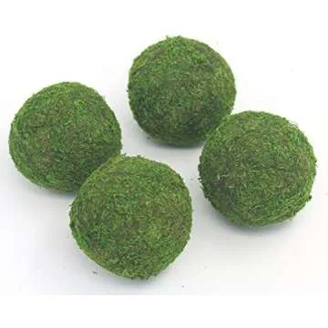 Spring and Summer Home Decor