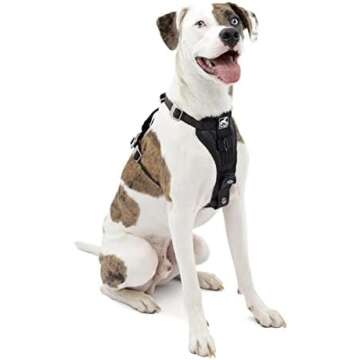 🚘 Click it or ticket