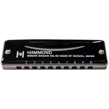 Music Equipment and Instruments