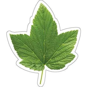 Plants & Nature Classroom Theme