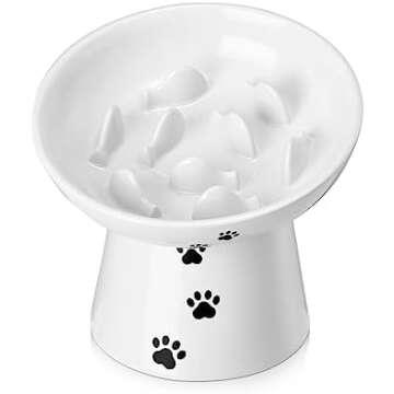 Cat enrichment items