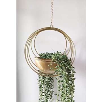 Plant Hangers