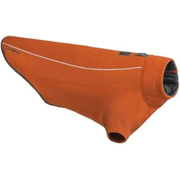 Dog Camping and Hiking Favorites