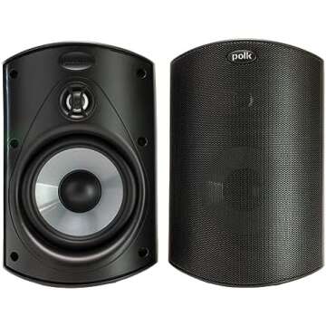 Entertainment Delights