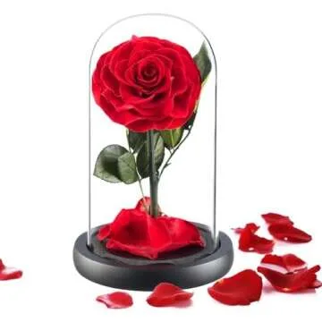 Valentine's Day Gift Ideas