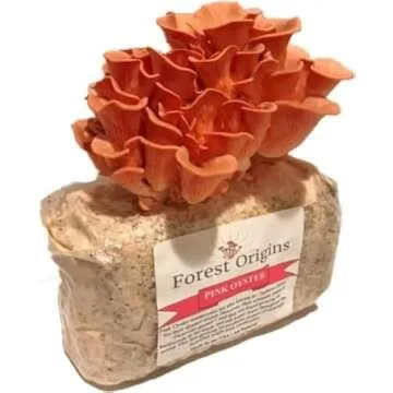 Fall Wellness Trends