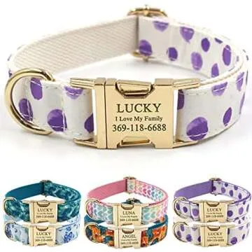 Collars, Leashes, and Harnesses
