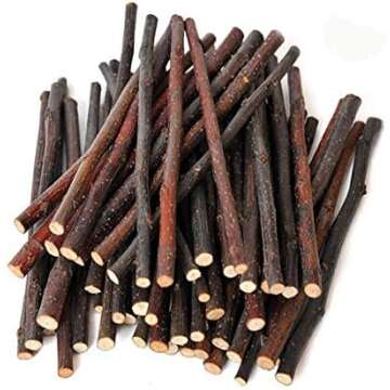 Rabbit Enrichment & Puzzle Toys