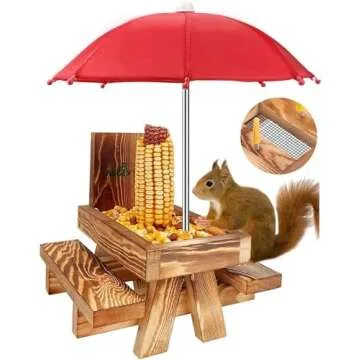 Bird/Squirrel Thingz 🐿️ 🐦