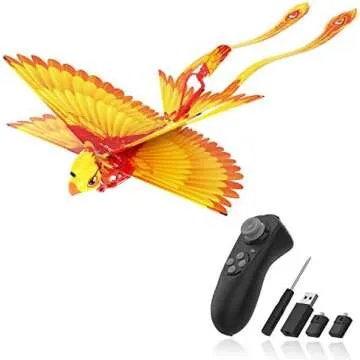 RC- Drones, Cars, Boats (outdoors)