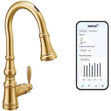 Kitchen Sinks and Faucets