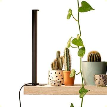 IKEA Greenhouse Cabinet Recommendations